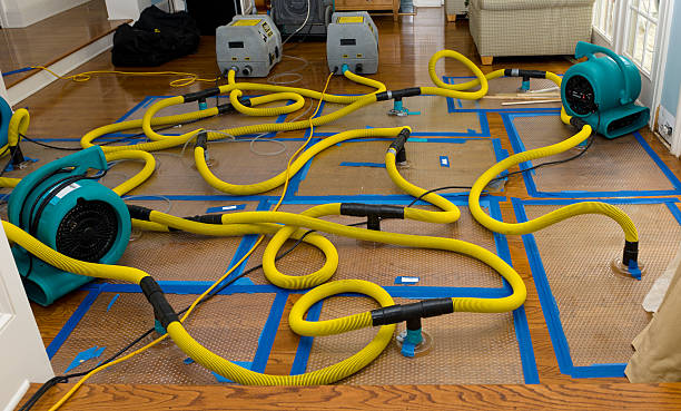 Professional Crawl Space Water Removal technician working in Tecumseh, MI